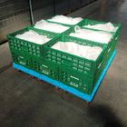 Cassa di plastica verde 600x400x220cm di stoccaggio per l'ortaggio da frutto