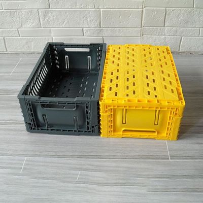 Qualità Piccola cassa pieghevole scaricata pp di stoccaggio di plastica per la frutta dello spuntino fabbrica