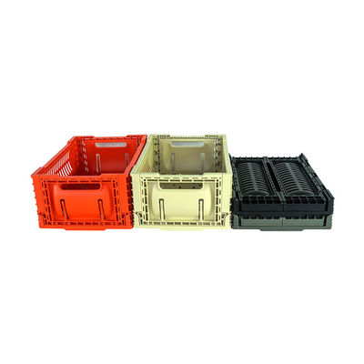 Qualità Canestro portatile piegante di picnic 5L pronto a spedire carico 6kg fabbrica